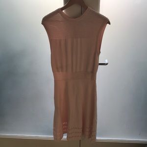 Ted Baker dress (light pink)